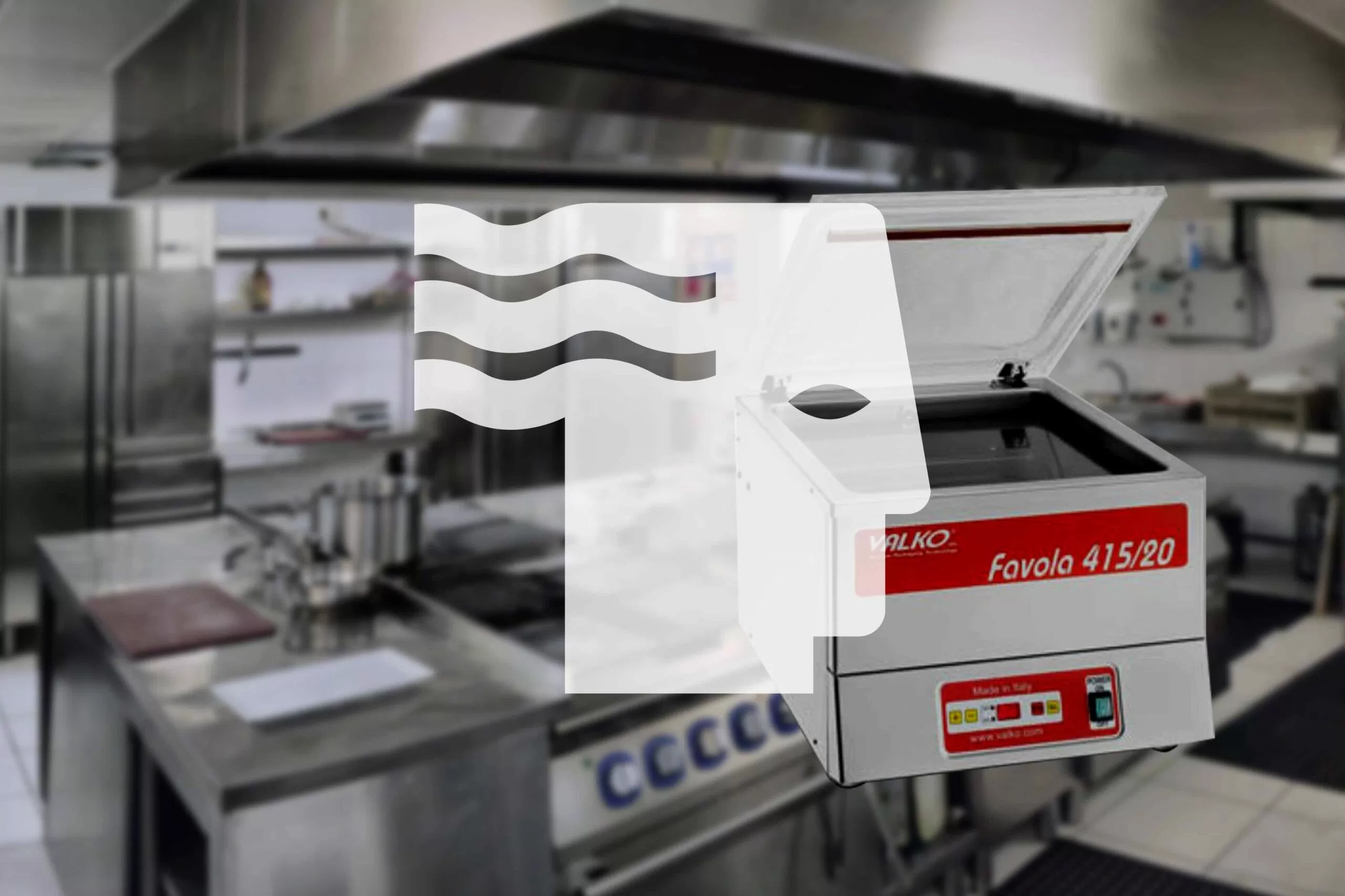 cottura sottovuoto professionale